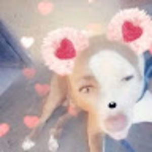 Meet your Posher, Alexandra